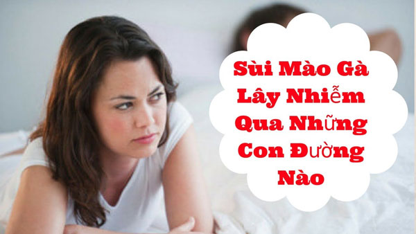 sùi mào gà lây qua đường nào