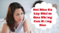 Những con đường lây truyền của bệnh sùi mào gà